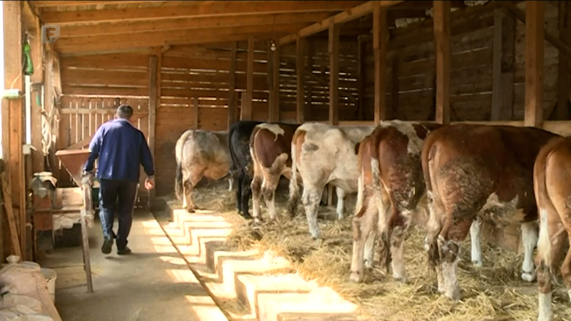 Zbog povećanja cijena ugrožena proizvodnja mlijeka u TK